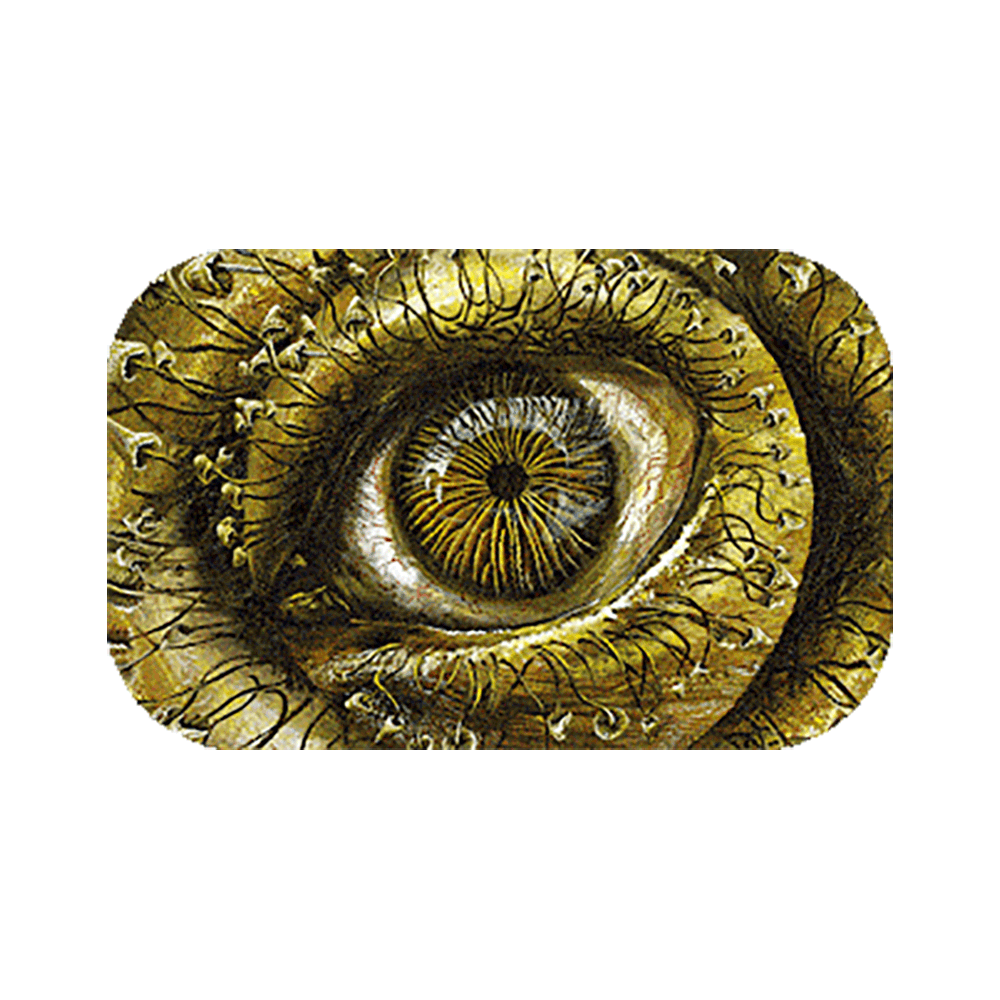 3D Holographic Rolling Tray with Magnetic Cover
