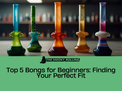 Top 5 Bongs For Beginners
