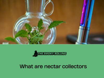 What are Nectar Collectors: The Ultimate Guide